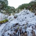 秩父の「ひさつき氷柱」